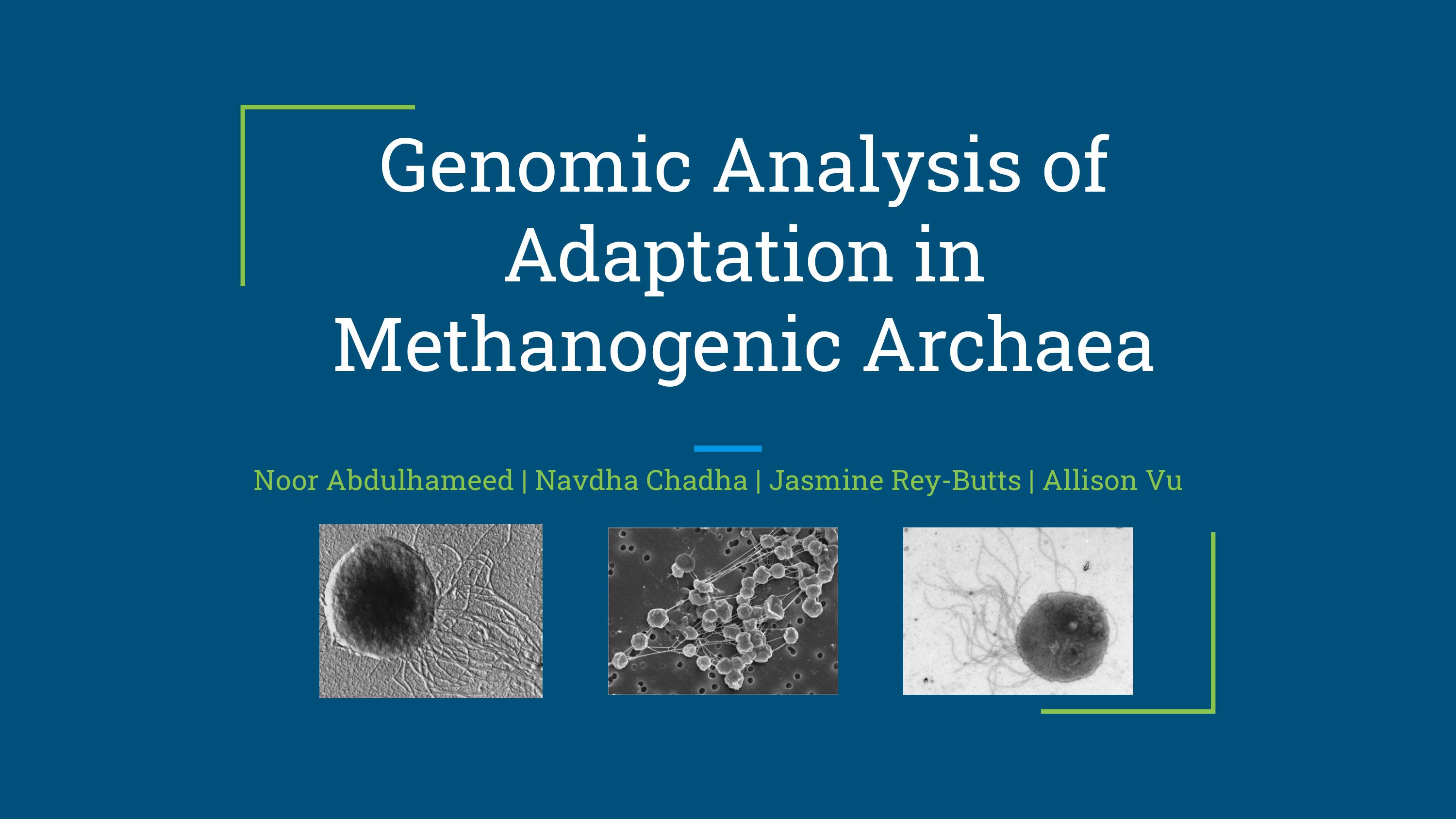 Genomic Analysis of Adaptation in Methanogenic Archea Poster
